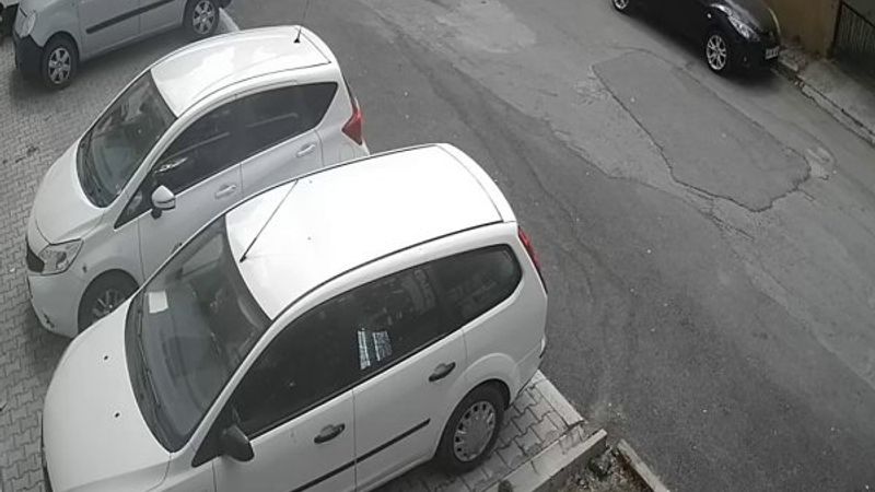 Maltepe’de iki köpeği güpegündüz çaldı
