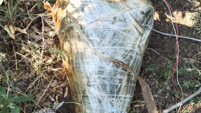 Siirt'te PKK'lı teröristlerin hain tuzağı imha edildi