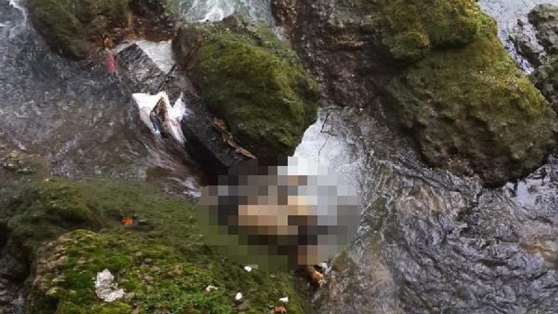 Mersin'de 55 gündür kayıptı, şelalede cesedi bulundu