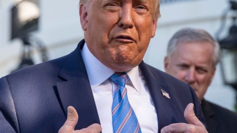 Trump: Kasımda yapılacak seçimleri erteleyelim