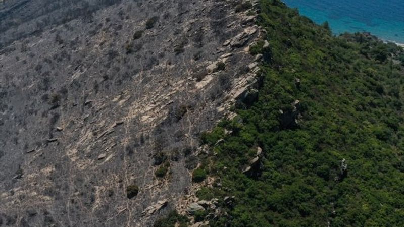 İzmir'deki orman yangınından geriye kalan