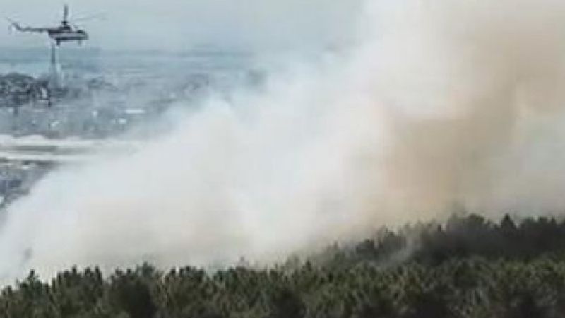 Aydos Ormanı'ndaki yangın kontrol altına alındı