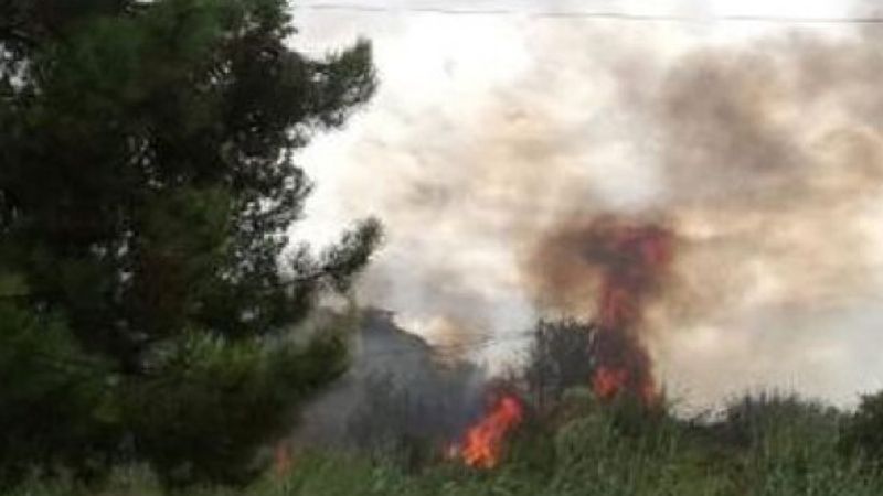 Büyükçekmece'de ağaçlık alanda yangın çıktı