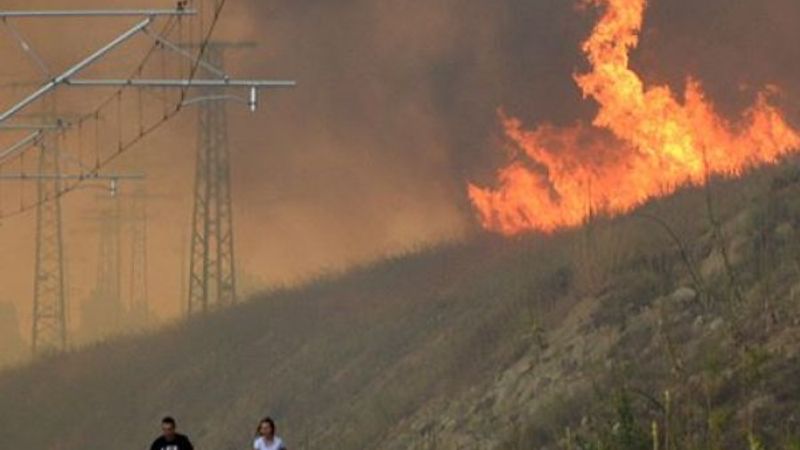 Bulgaristan-Türkiye sınırındaki yangın söndürüldü