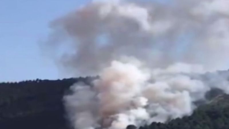 İstanbul'da Aydos Ormanı'nda yangın