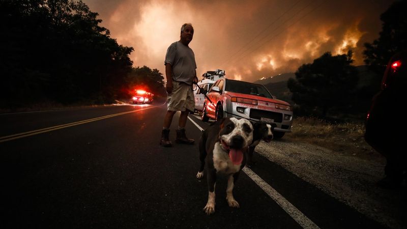 Los Angeles yakınlarında orman yangını