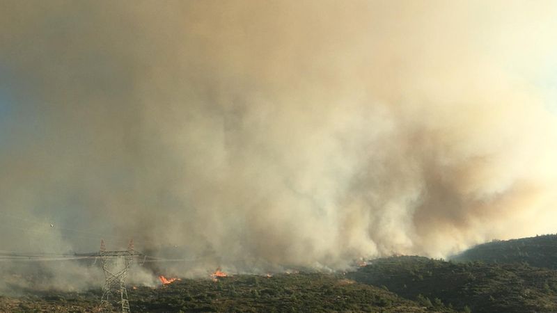 İzmir'de makilik alan yanıyor: Havadan müdahale başladı