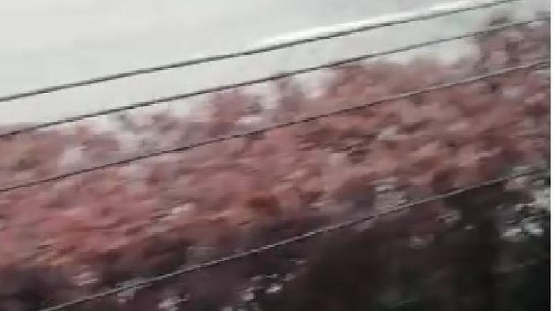 Kayseri'de komşunun tehdit ettiği kadın, yardım bekliyor