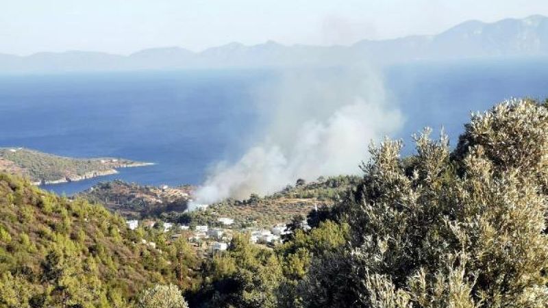 Bodrum'da orman yangını meydana geldi
