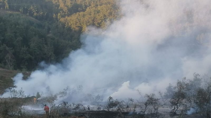 Bursa’da orman yangını meydana geldi