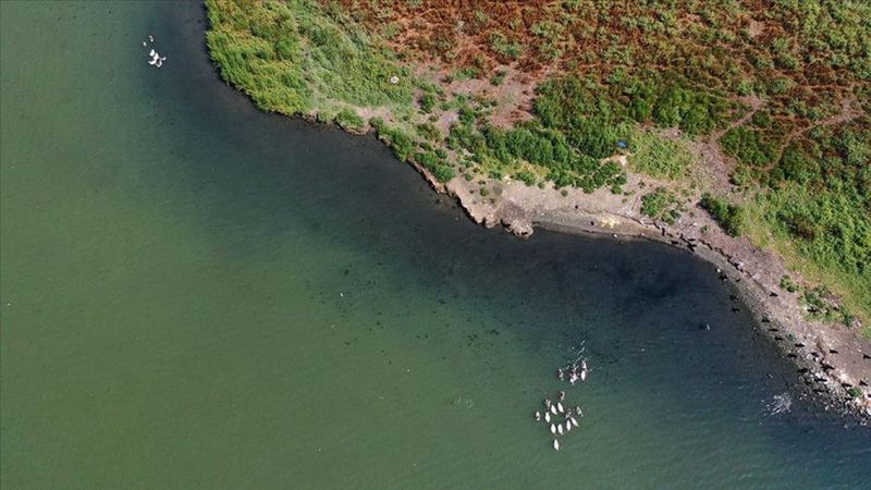 Haliç'te suyun rengi değişti