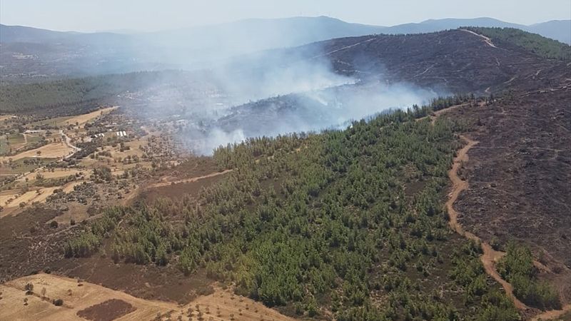 Muğla’daki orman yangınında 2 hektarlık alan zarar gördü