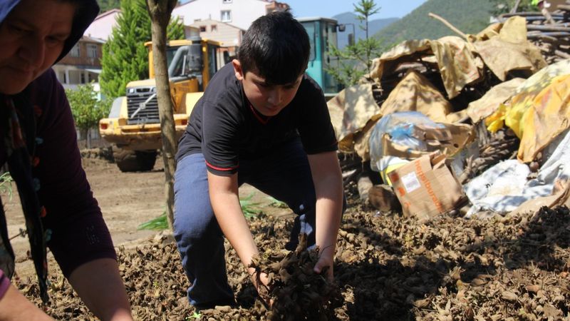 Giresun'da üreticiler, fındıklarını çamurun içerisinden kurtarmaya çalışıyor