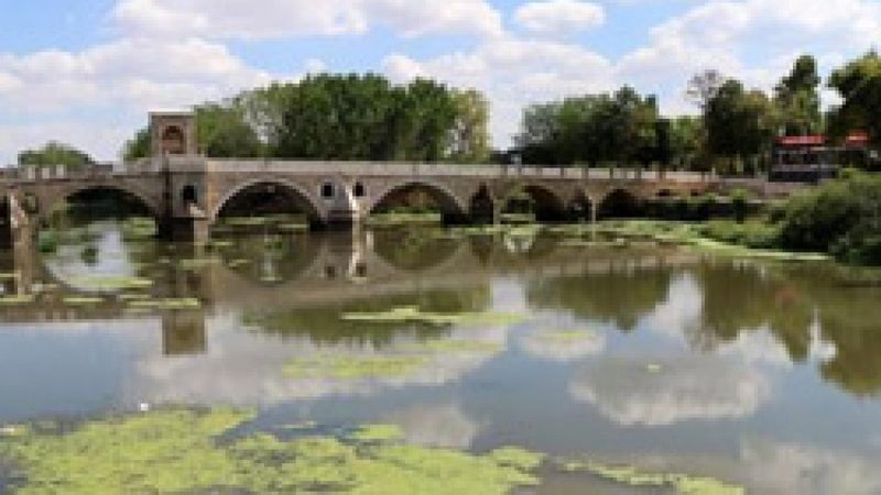 Tunca Nehri'ndeki yeşil adacıklar tedirgin etti