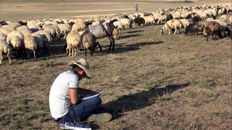Çobanlık yaparken üniversiteye hazırlanan Vanlı Muhammet, tıp fakültesini kazandı
