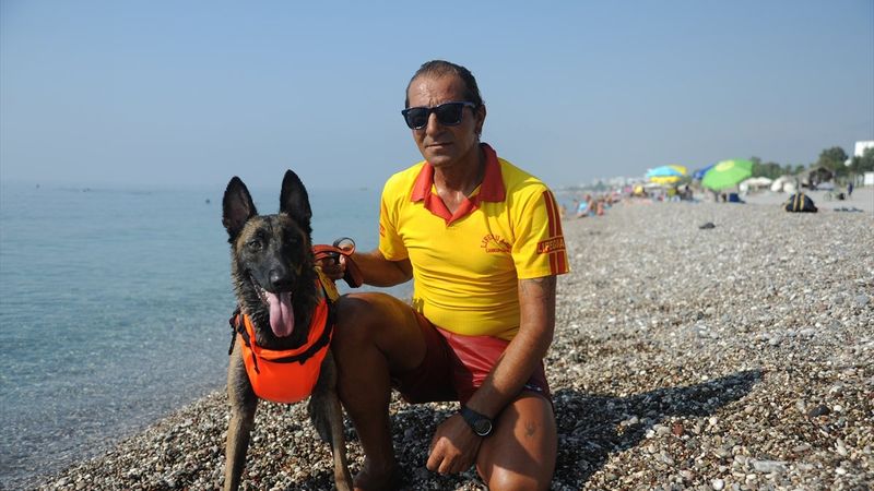 Türkiye'nin ilk cankurtaran köpeği Fox