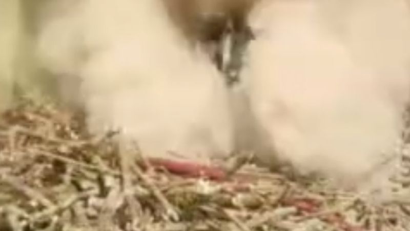 Şanlıurfa’da yangın sonrası patlama