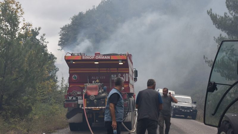 Sinop'ta otları temizlemek isterken ormanı yaktı