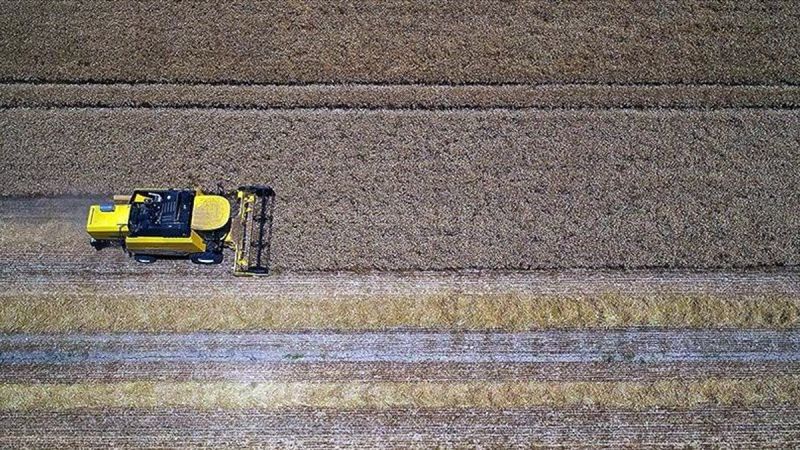 Tarımsal girdi fiyat endeksi arttı