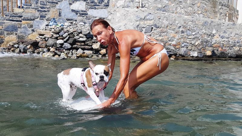 Muğla'da köpeğin sörf keyfi görenleri şaşırttı