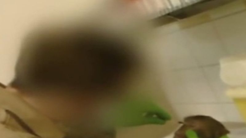 Belçika’da bilim adamları denek maymunlara işkence ediyor