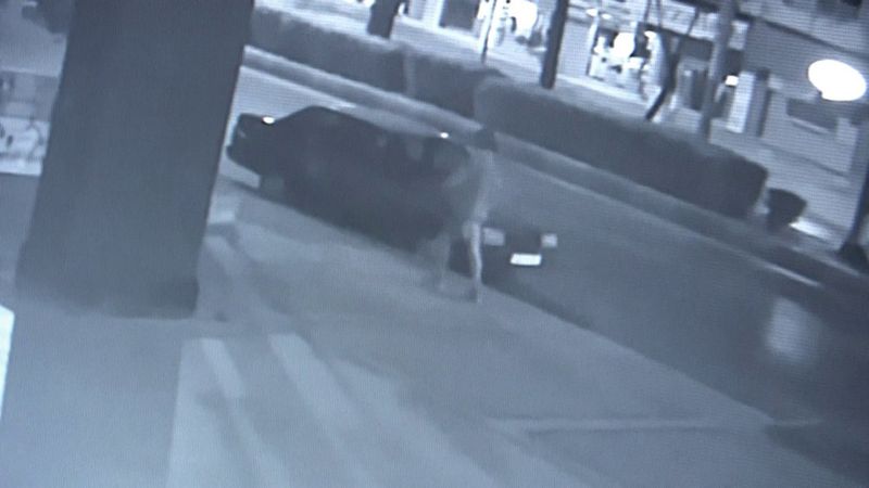 Mersin'de arabaya zarar veren kişi yakalandı