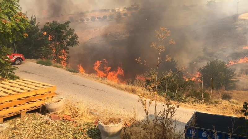 Malatya'da sigara izmariti yangına sebep oldu