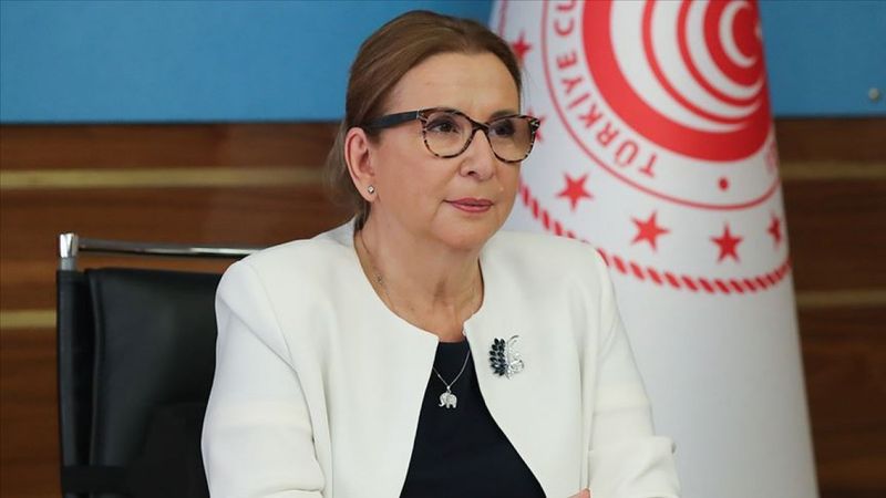 Bakan Ruhsar Pekcan: Kredi kefalet kooperatifleri ile 1.1 milyon esnaf desteklendi