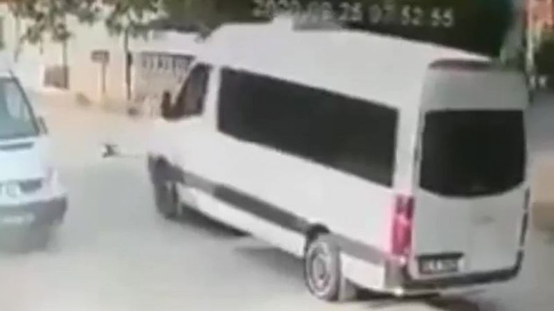 Kocaeli'de ezdiği kedi can çekişirken bir kez daha üzerinden geçti