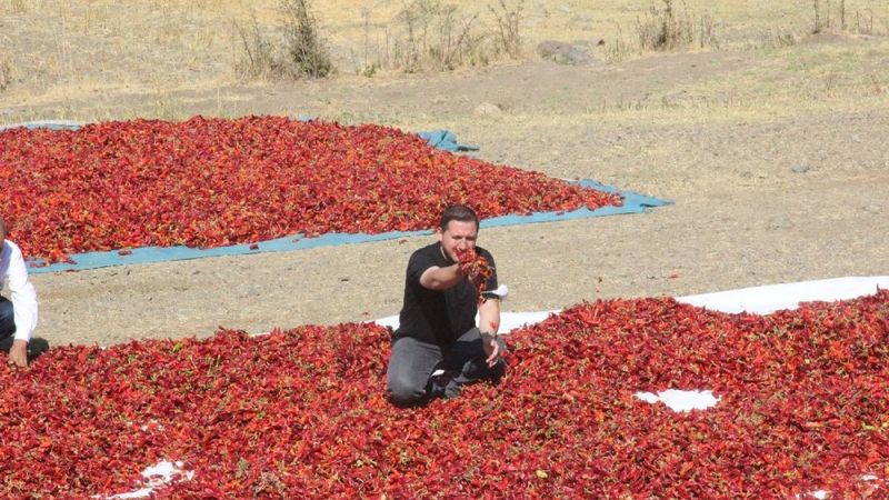 Koronavirüste yemek sektörünün durması, toz biber fiyatlarını düşürdü