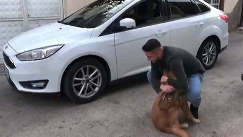Kahramanmaraş'ta sahibine kavuşan köpeğin sevinci