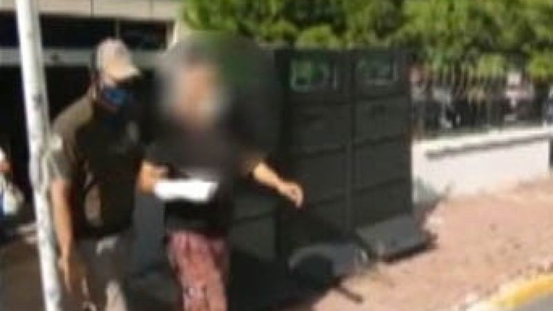 Beylikdüzü'nde 3 köpeği bıçaklayan zanlı serbest kaldı