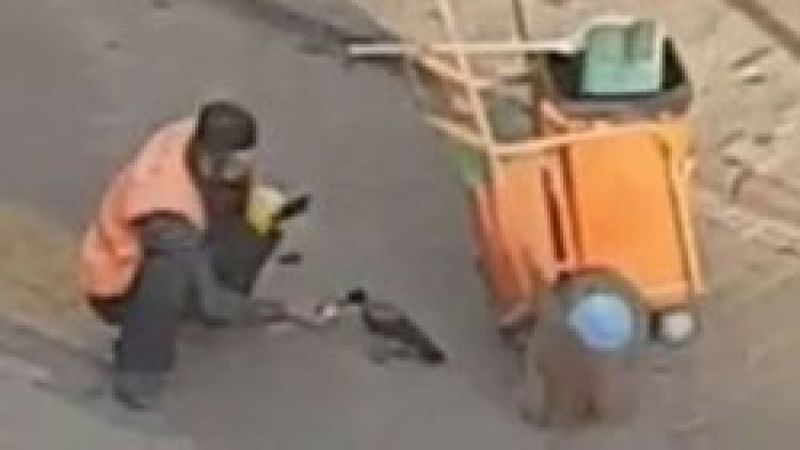 Bolu'da temizlik işçisi ile karganın gülümseten yakınlaşması