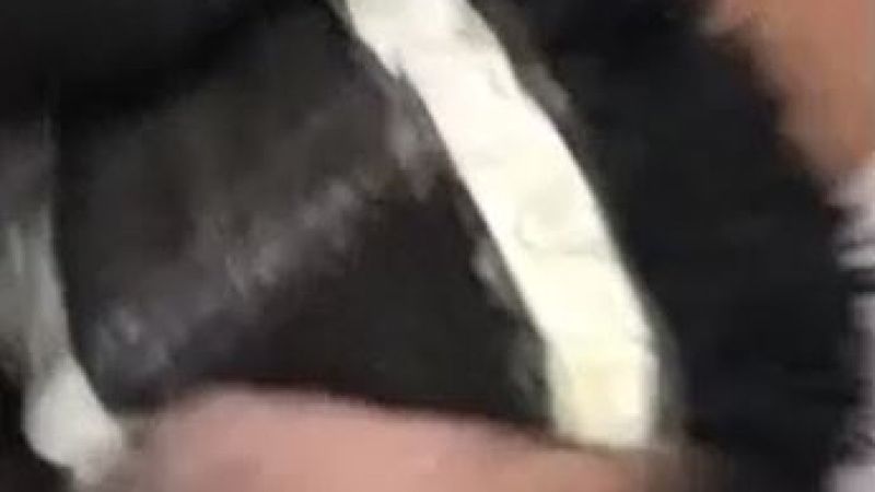 Gaziantep'te başındaki peruğun altından uyuşturucu çıktı