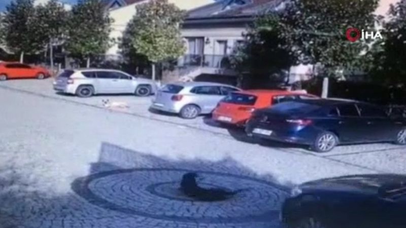 Sarıyer’de aracın köpeği ezdiği an