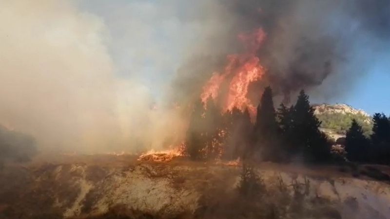İzmir Aliağa'da orman yangını