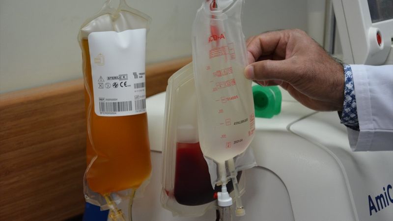 İmmün plazma nedir? İmmün plazma tedavisi nasıl yapılır? Gerekli koşullar nelerdir?