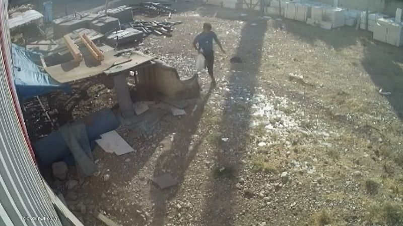 Kahramanmaraş’ta tavukları torbaya koyup çaldı