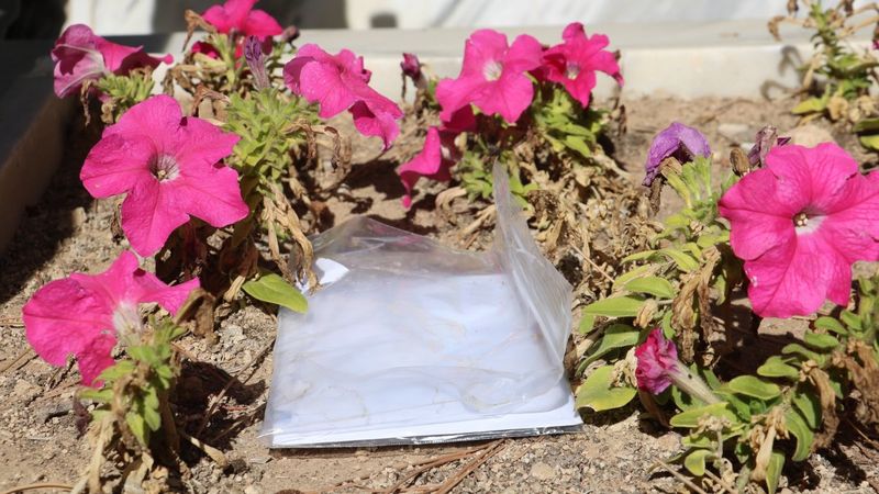 Sivas'ta şehitliklere bırakılan mektuplar görenleri şaşırttı