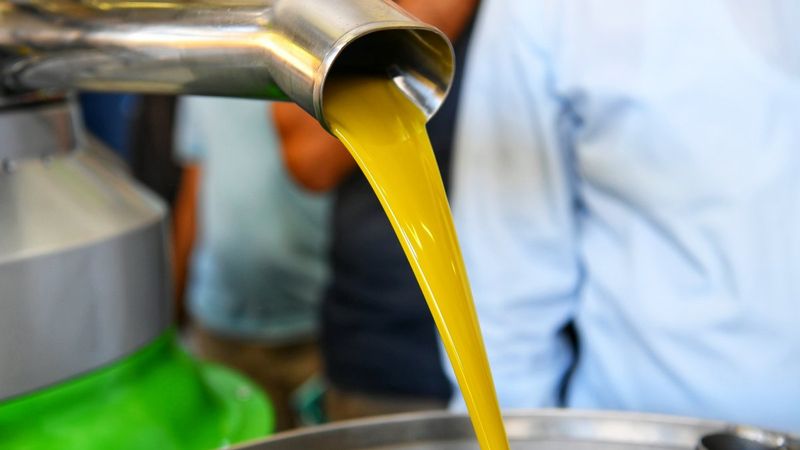 Kumluca’da ilk zeytinyağı sıkımı yapıldı