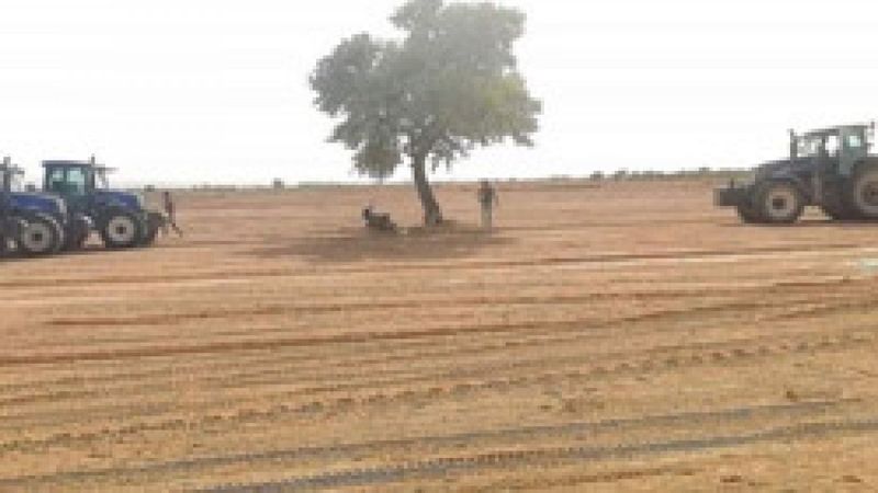 Denizli’de arazi kavgası cinayetle bitti