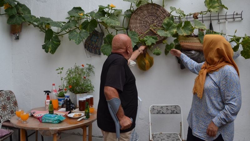 3 ay önce ektiği kabağın boyu 120 metreyi buldu