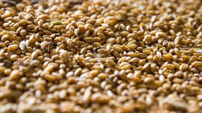 Bazı tarım ürünlerinin ithalatında gümrük vergisi yıl sonuna kadar sıfırlandı