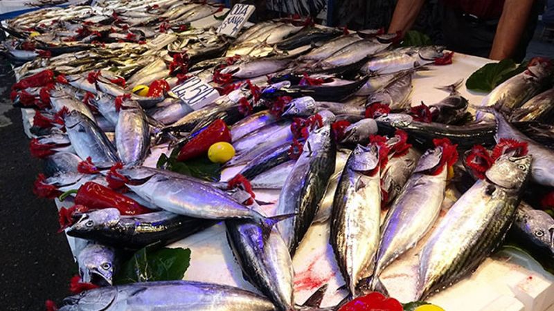 Balık tezgahlarındaki hile: Mavi ışık