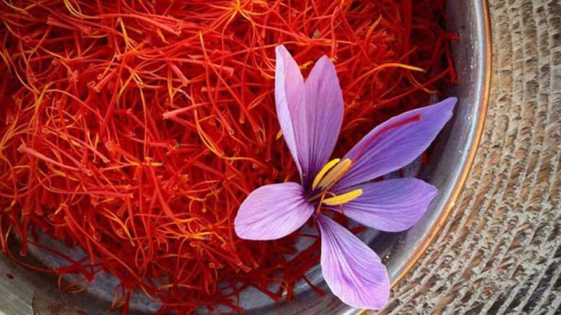 Safran nedir? 1 kilo safran ne kadar?  Safranın faydaları