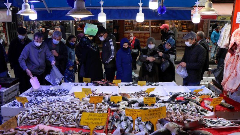 Kapış kapış giden hamsinin kilosu 20 TL’den satılıyor