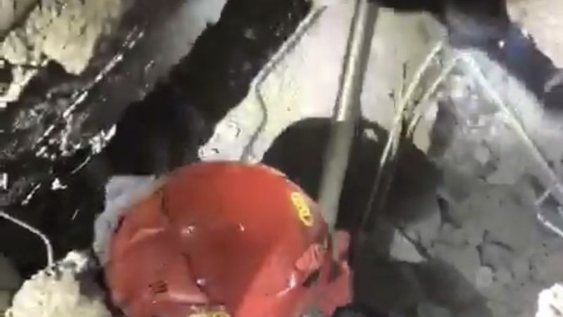 İzmir’de 102 saat sonra bir kedi enkazdan sağ kurtarıldı