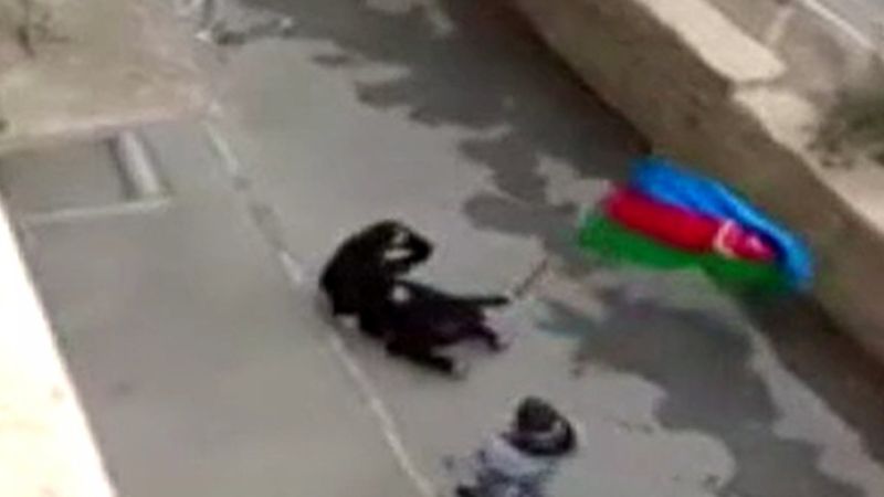 Azerbaycan'da şehit annesine gösterilen sevgi, görenleri duygulandırdı