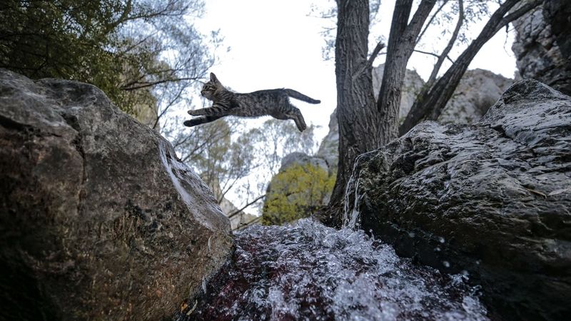 Ankara’daki Kıbrıs Köyü Kanyonu’nda sonbahar güzelliği