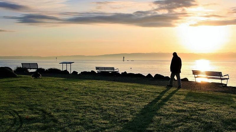 Dünya Bekarlar Günü nedir, neden kutlanır? 11 Kasım Bekarlar Günü nasıl ortaya çıktı?